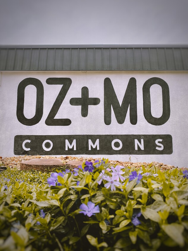 Primary Photo - OZ+MO Commons