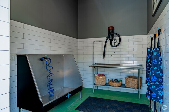 Pet Salon - 1701 North Apartments