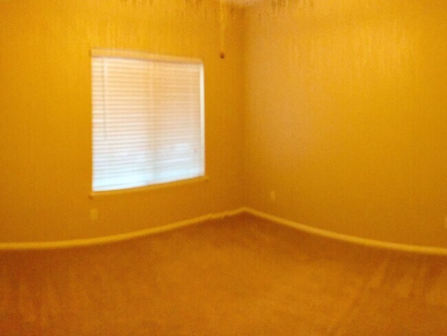 Building Photo - 2 Bedroom Condo in Denver