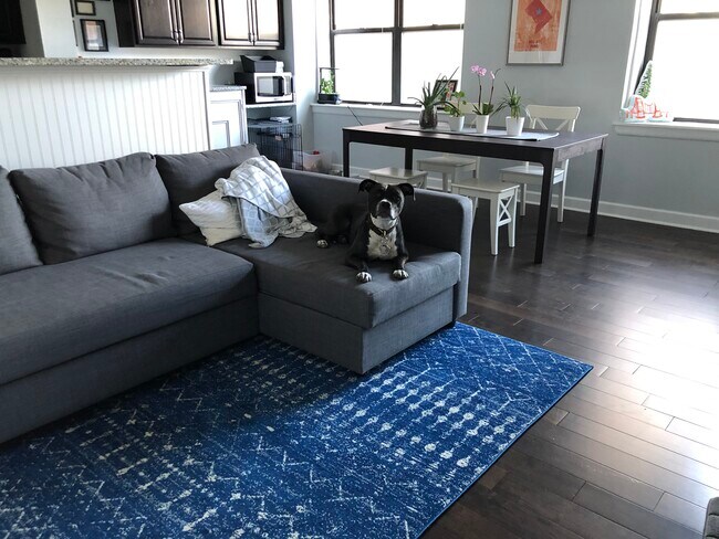 Foto del edificio - 3902 14th St NW