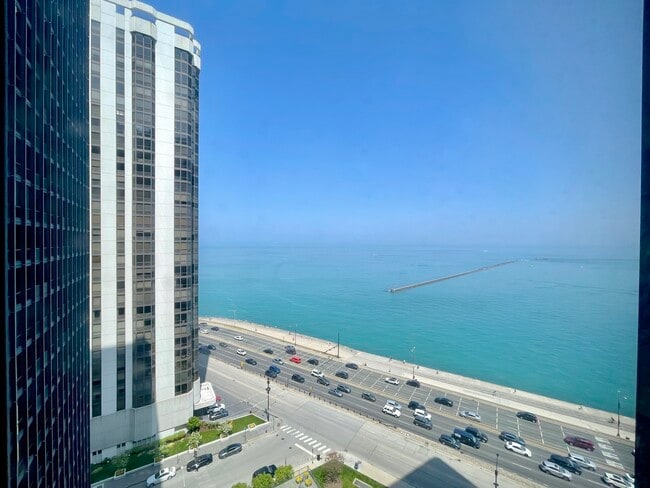 Building Photo - 900 N Lake Shore Dr