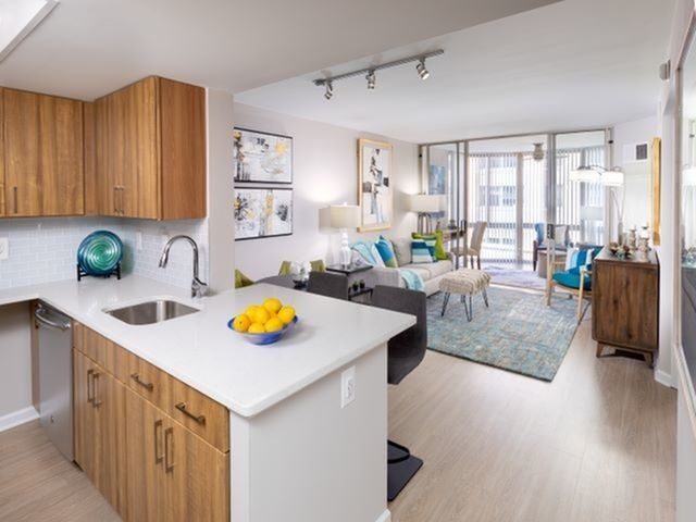 Renovated Apartments With Quartz Countertops, Energy Efficient Stainless Steel Appliances and Wood-Style Flooring Throughout Kitchen and Living Areas - Meridian at Ballston Commons