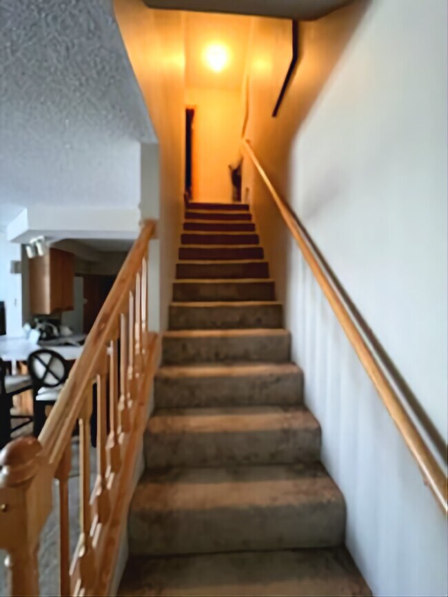 Foto del edificio - 4201 Merrimac Ln N