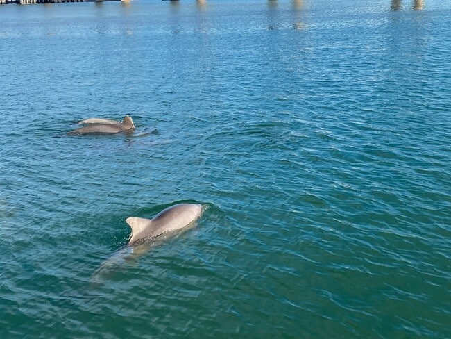 Building Photo - 3536 Belle Vista Dr E