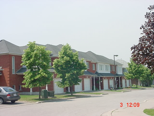 Primary Photo - Marigold Court
