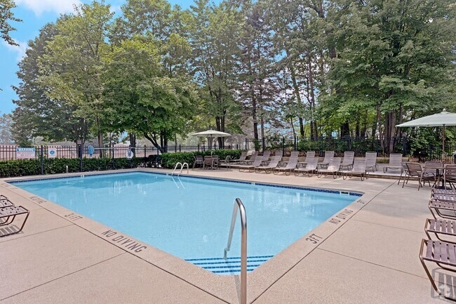 Resort-style Swimming Pool and Deck - Timber Ridge Apartments
