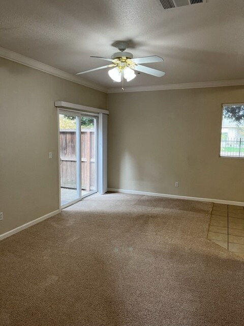 Living Room - 1600 Park Ln