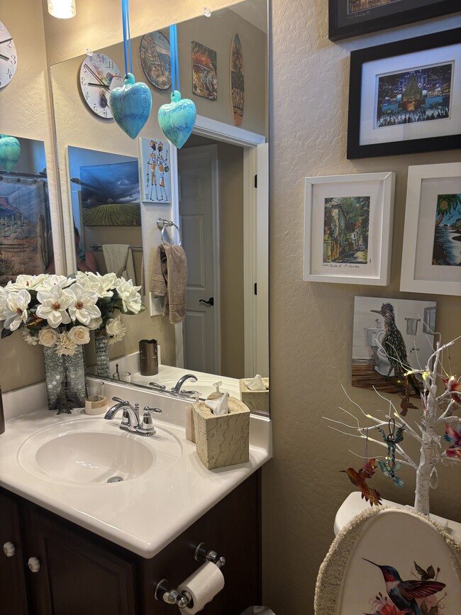 Guest bath - 4518 N Petersburg Dr