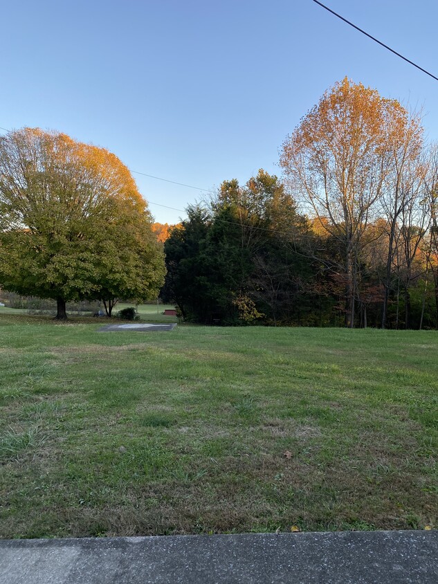 Back yard - 1956 Pumphouse Rd