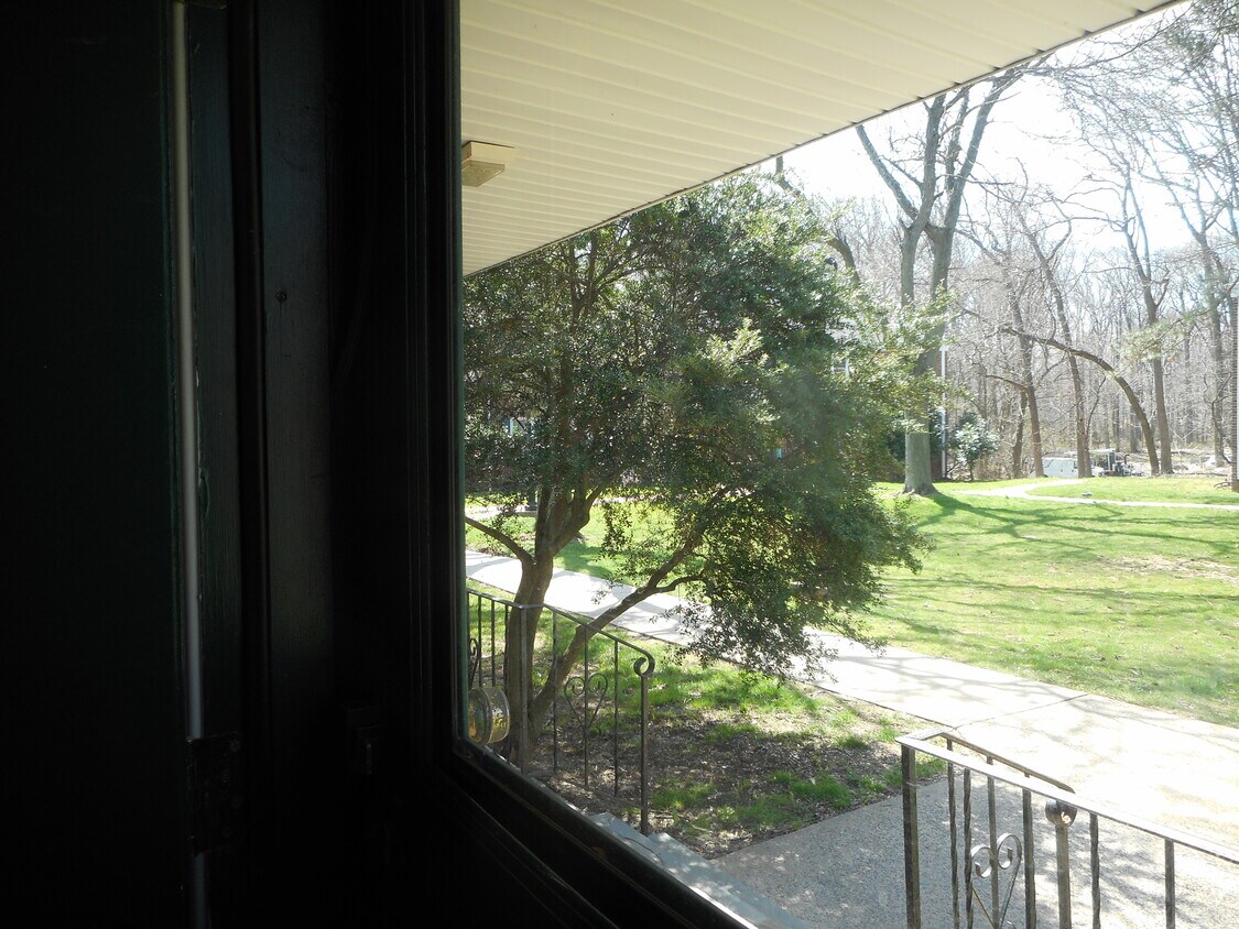 Primary Photo - 545 Forest Ave