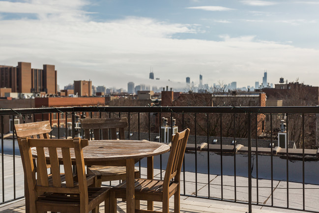 Rooftop Deck - Sheffield Lofts - 3110 N Sheffield Ave