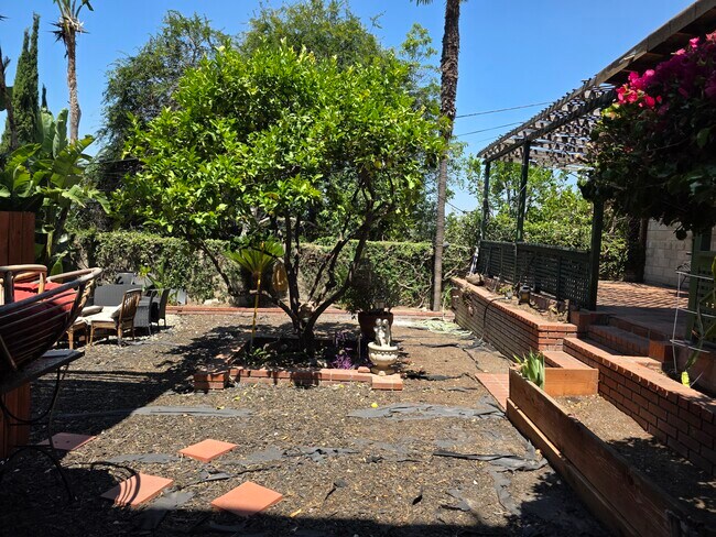 Shared backyard - 1647 Angelus Ave