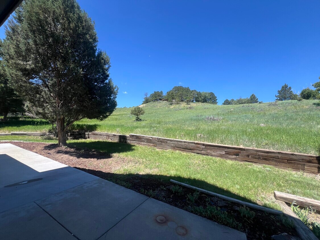 Patio trasero - 940 Grey Eagle Cir N