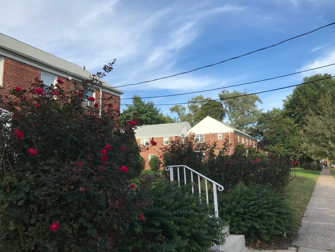 Foto principal - 316 Magnolia St