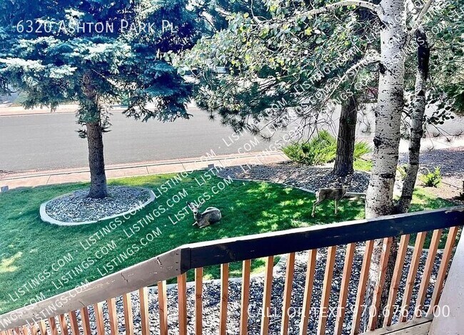 Foto del edificio - 6320 Ashton Park Pl