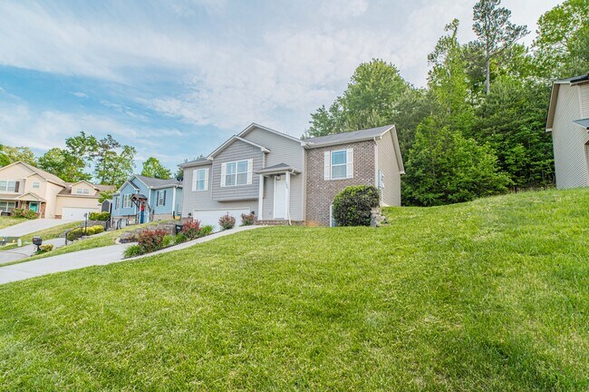 Foto del edificio - 7809 Elkton Ln