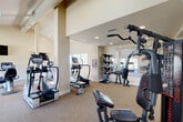Located in Parkmoor Village in Colorado Springs, Colorado, this well-appointed fitness center offers a spacious, single-floor layout designed to accommodate a full range of workout needs. The facility features soaring vaulted ceilings with exposed beams and skylights that flood the interior with natural light, complemented by recessed lighting throughout. Large windows along one wall frame views of the surrounding landscaped grounds, creating an open and airy atmosphere during workouts.

The main workout area is generously equipped with a variety of True-brand cardio machines, including treadmills, ellipticals, and upright and recumbent stationary bikes. A multi-station strength training machine and a dedicated free weight rack with medicine balls and accessories round out the strength training options. Wall-mounted flat-screen televisions are positioned throughout the space, allowing users to stay entertained during cardio sessions.

Full-length mirrors along one wall visually expand the space and provide useful feedback during exercise. The floor is finished with durable, comfortable carpeting suited for fitness use. Structural columns define different zones within the open plan. Entry is provided through a set of elegant double doors, and the facility includes proper ventilation infrastructure. The overall ambiance is bright, clean, and functional, making it a well-rounded community fitness resource.