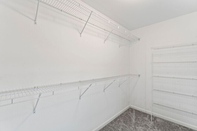 Building Photo - 4 br, 2.5 bath House - 4809 Cedar Forest Pl