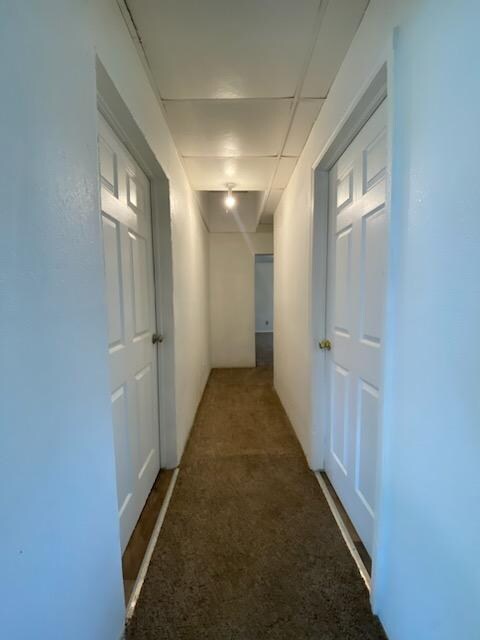 Building Photo - 309 N Louisa Ave