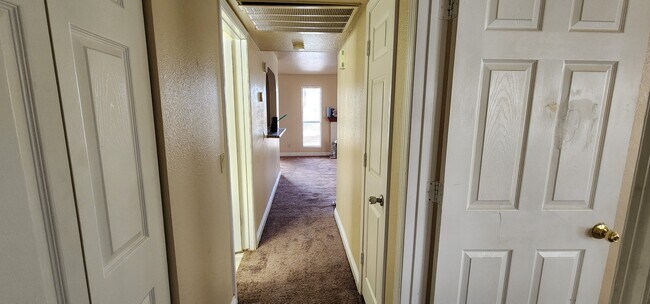 Building Photo - 1212 Bass Dr