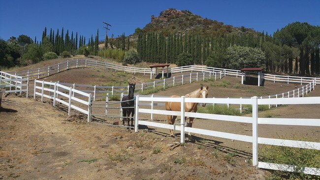 Horse de corales - 32855 Mulholland Hwy