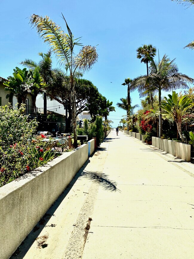 Walk street in front of building just steps to the beach & short walk to the pier - 84 16th St