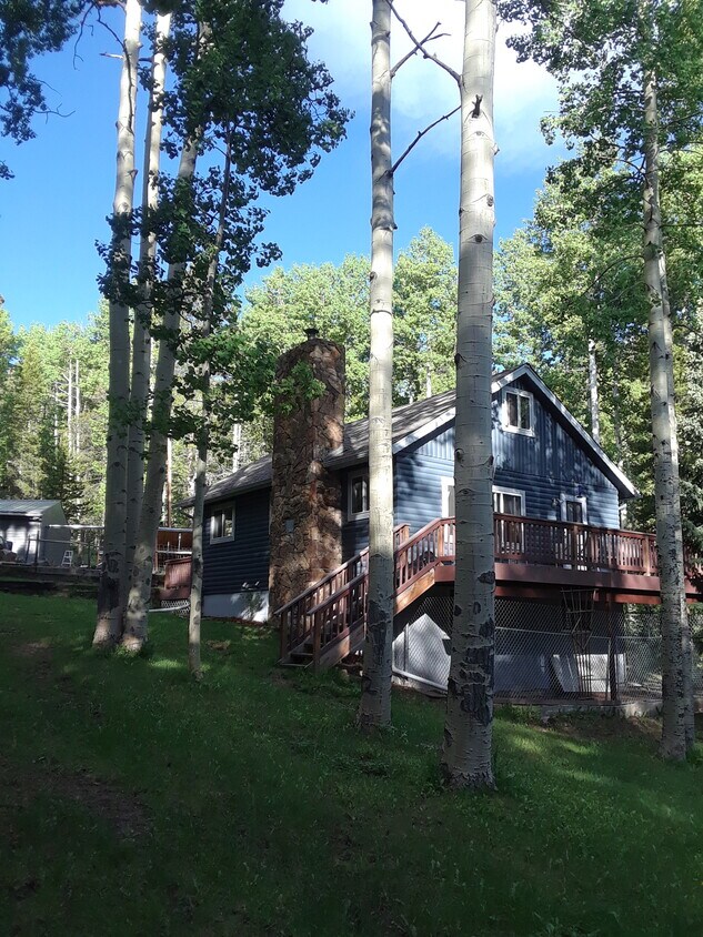 97 Pawnee Trl Unit Garden Level Apartment, Evergreen, CO 80439