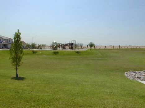 Building Photo - Beautiful 3 bed, 2 bath home in convenient El Mirage neighborhood!