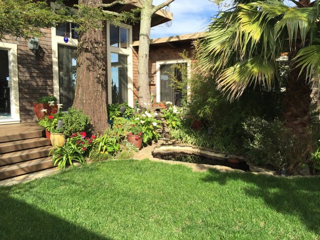 Foto del edificio - 145 Mountain Meadow Ln