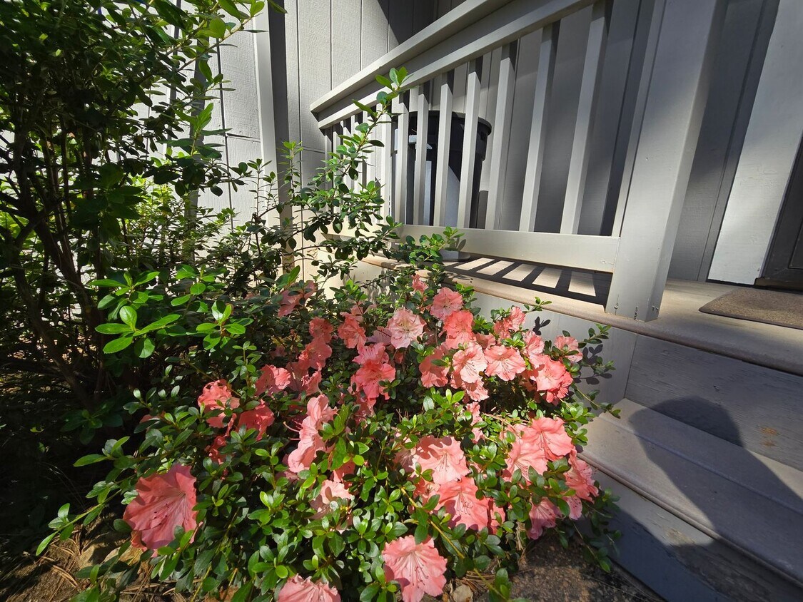 Foto principal - Welcome to this beautifully renovated 2-be...