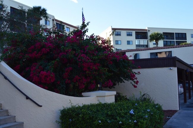 Foto del edificio - 115 Indian River Dr