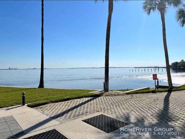 Building Photo - Bayshore South Tampa