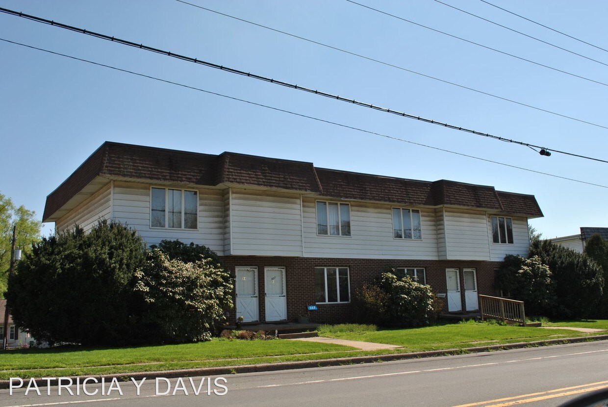 307 E Central Ave, Avis, PA 17721 Apartment for Rent in Avis, PA