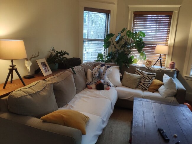 Living room - 74 Highland Ave