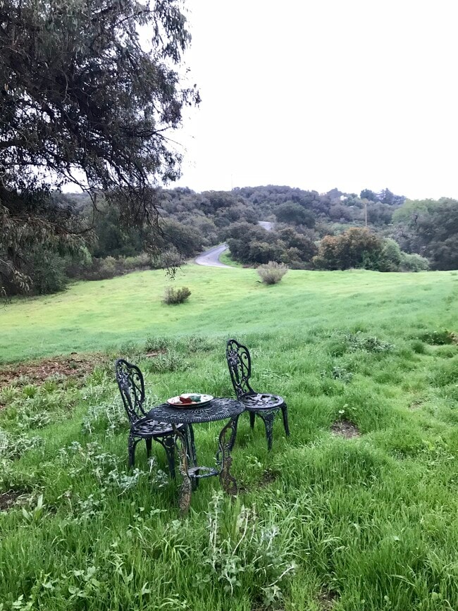 Building Photo - 1124 Rosario Dr