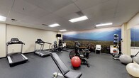 This fitness room is a comprehensively equipped exercise space designed to support a wide range of workout routines. The room features durable rubber flooring throughout, providing a safe and functional surface suited for both cardio and strength training activities. Overhead, a drop ceiling with recessed fluorescent panel lighting ensures the space is evenly and adequately illuminated.

A standout design element is the large, panoramic mountain landscape mural spanning one full wall, depicting a vivid wildflower meadow beneath snow-capped peaks. This decorative feature adds a sense of openness and visual interest to an otherwise interior space.

The cardio section is well-appointed with multiple treadmills, a recumbent bike, an air resistance cycle, and an adaptive motion trainer. A wall-mounted television is positioned nearby for entertainment during cardio sessions. Strength training options include a Hoist dual-cable functional trainer, a weight bench, a rack with dumbbells, and an assortment of medicine balls and stability balls displayed on a dedicated rack.

A full-length mirror along one wall enhances spatial perception and allows users to monitor form during exercises. Informational charts and safety notices are posted near the entrance door, and additional utility items such as a sanitizing station are accessible throughout the room.