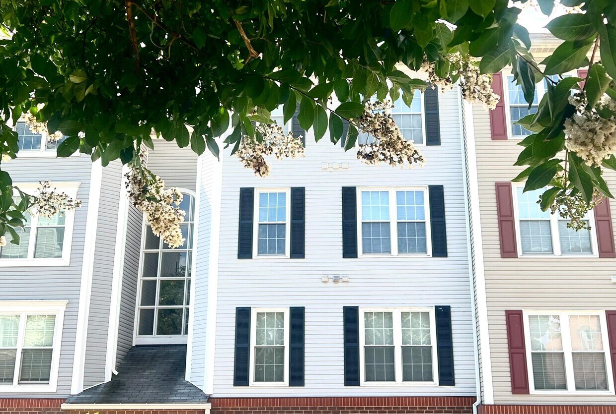 257 S Pickett St, Alexandria, VA 22304 House Rental in Alexandria, VA