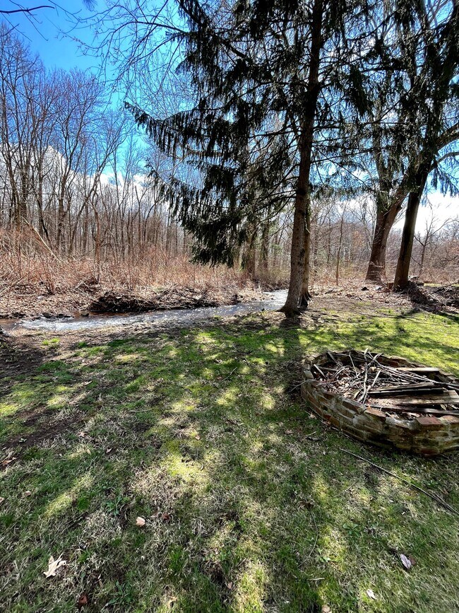 Arroyo del patio trasero - 218 Charter Oak St