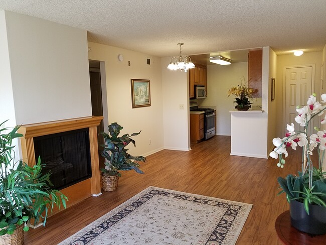 Living room, kitchen - 4184 Arch Dr