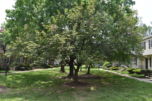 Foto del edificio - 7001 Roslyn Ave