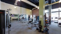 This fitness center offers a generously sized, single-floor workout space designed to accommodate a wide range of exercise needs. The room features notably high ceilings with an industrial aesthetic, highlighted by exposed white ductwork and pendant lighting that illuminates the space effectively. The ceiling is finished in a dark tone, creating a strong contrast with the lighter-colored walls, which are accented with earthy green and warm brown tones that contribute to an energizing atmosphere.

Large mirrors line one wall, visually expanding the space and allowing users to monitor their form during workouts. The flooring consists of durable, neutral-toned material suited for heavy equipment use. The facility is outfitted with a comprehensive selection of strength-training machines, including cable and multi-use units, adjustable benches, and free weights such as kettlebells and dumbbells stored along the perimeter. A medicine ball rack and additional functional training accessories are also present.

Natural light filters in through windows visible along one side of the room, adding brightness to the environment. Motivational imagery, including what appears to be a large athletic photograph on the wall, adds character to the space.