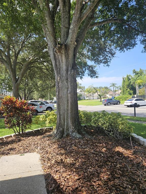Building Photo - 339 Petrea Dr