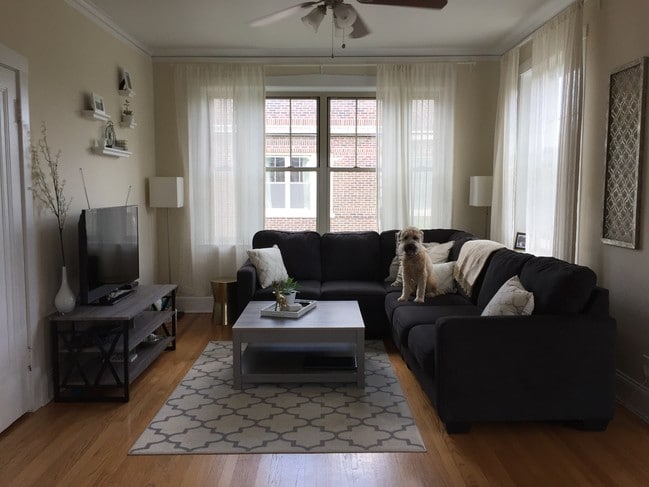 LR with north and east facing windows - 427 N Lombard Ave