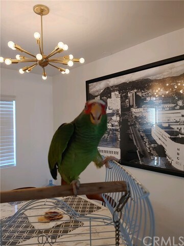 Foto del edificio - 1421 N Sunrise Way