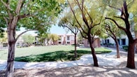This single-floor residence is situated within a well-maintained desert community characterized by its warm Southwest architectural aesthetic. The exterior grounds are a standout feature, showcasing expansive manicured lawns, mature shade trees, and towering palm trees that create a lush, resort-like atmosphere. Paved walkways wind through the landscaped common areas, complemented by desert gravel accents that reflect the regional climate. A fenced pool area provides a relaxing outdoor retreat, surrounded by additional palm trees and seating, with views of the neighboring buildings finished in classic stucco with tiled rooflines.

Inside, the living area exudes a comfortable and welcoming ambiance. Wood-look flooring runs throughout, anchoring the space with warmth and texture. The room is brightened by natural light filtering through windows dressed with elegant curtains, while a ceiling fan overhead ensures year-round comfort. Wall sconces and framed artwork add character and a curated touch to the neutral-toned walls. The open layout allows for a seamless flow between the living and dining areas, making the space feel connected and functional. Together, the interior comfort and the beautifully landscaped surroundings make this a distinctive and appealing desert community residence.