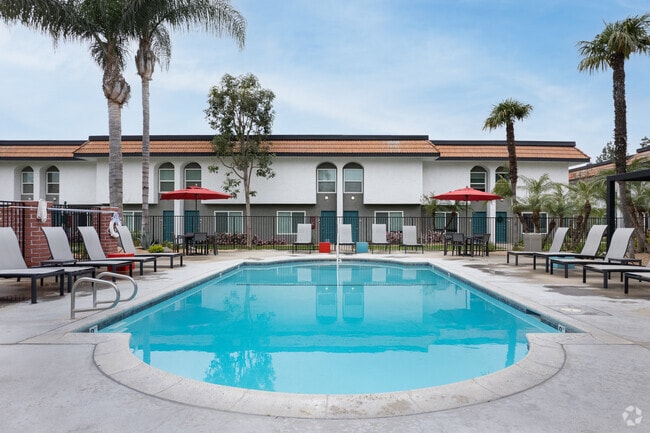 Pool - The Jackson Apartments