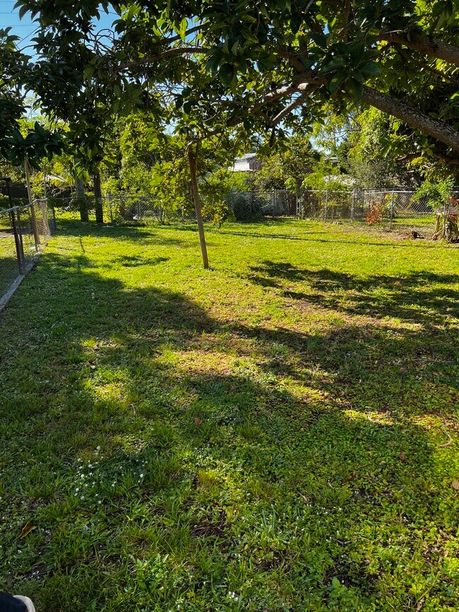 Backyard - 680 NE 130th St