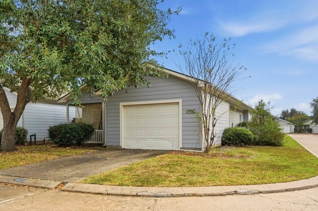 Building Photo - 10223 Dandyline Way