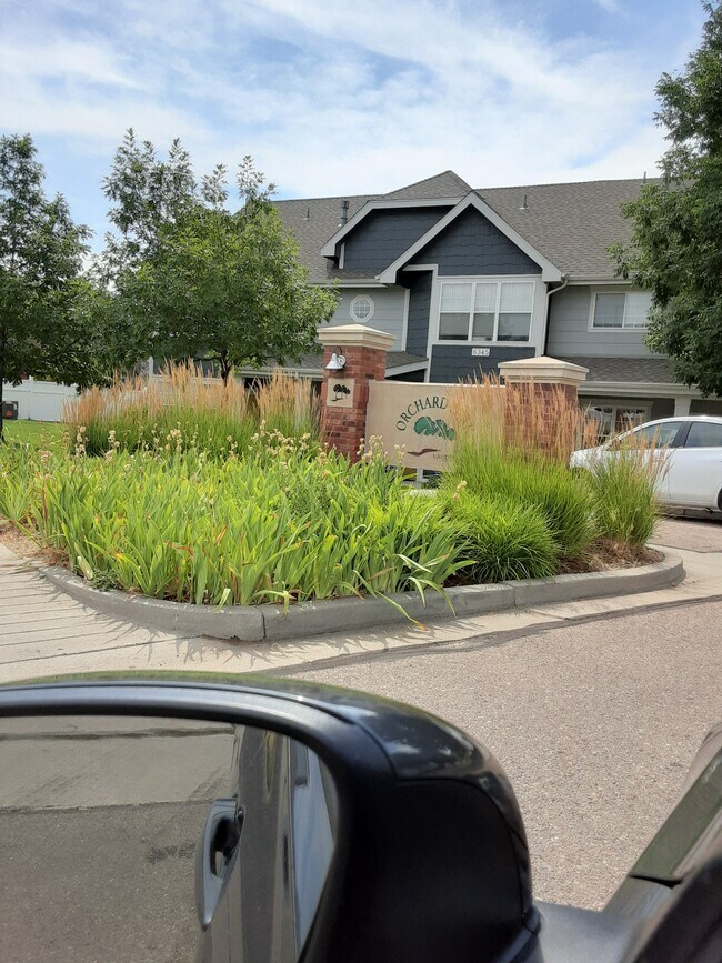 Building Photo - 3330 Apple Blossom Way