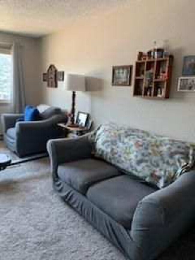 910 E 2nd St Unit 15, Litchfield, MN 55355 Condo for Rent in